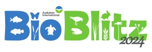 Audubon International's BioBlitz 2024